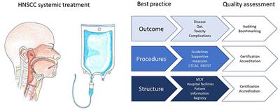 Frontiers | Best Practice in Systemic Therapy for Head and Neck